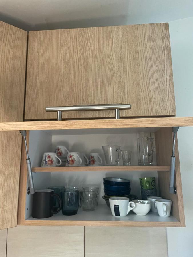 Vracar Apartment Belgrad Zewnętrze zdjęcie